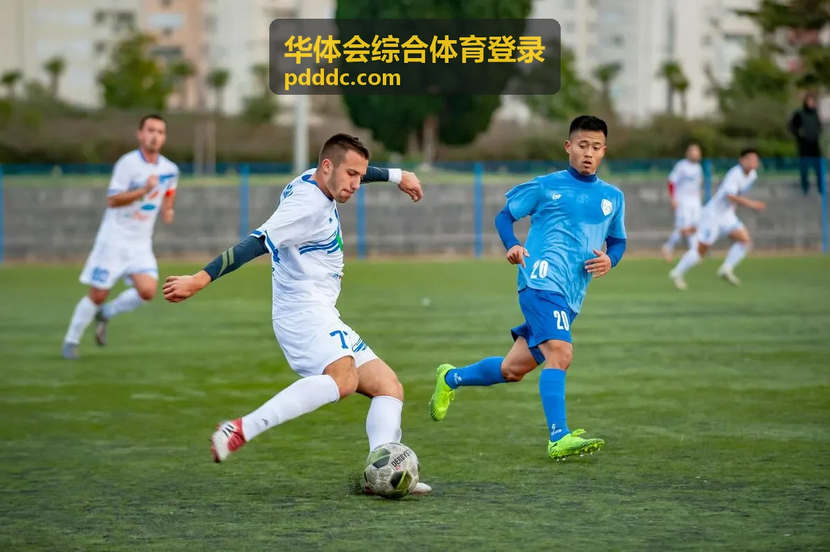 华体会综合体育登录体验会员可浏览的项目介绍栏目示意