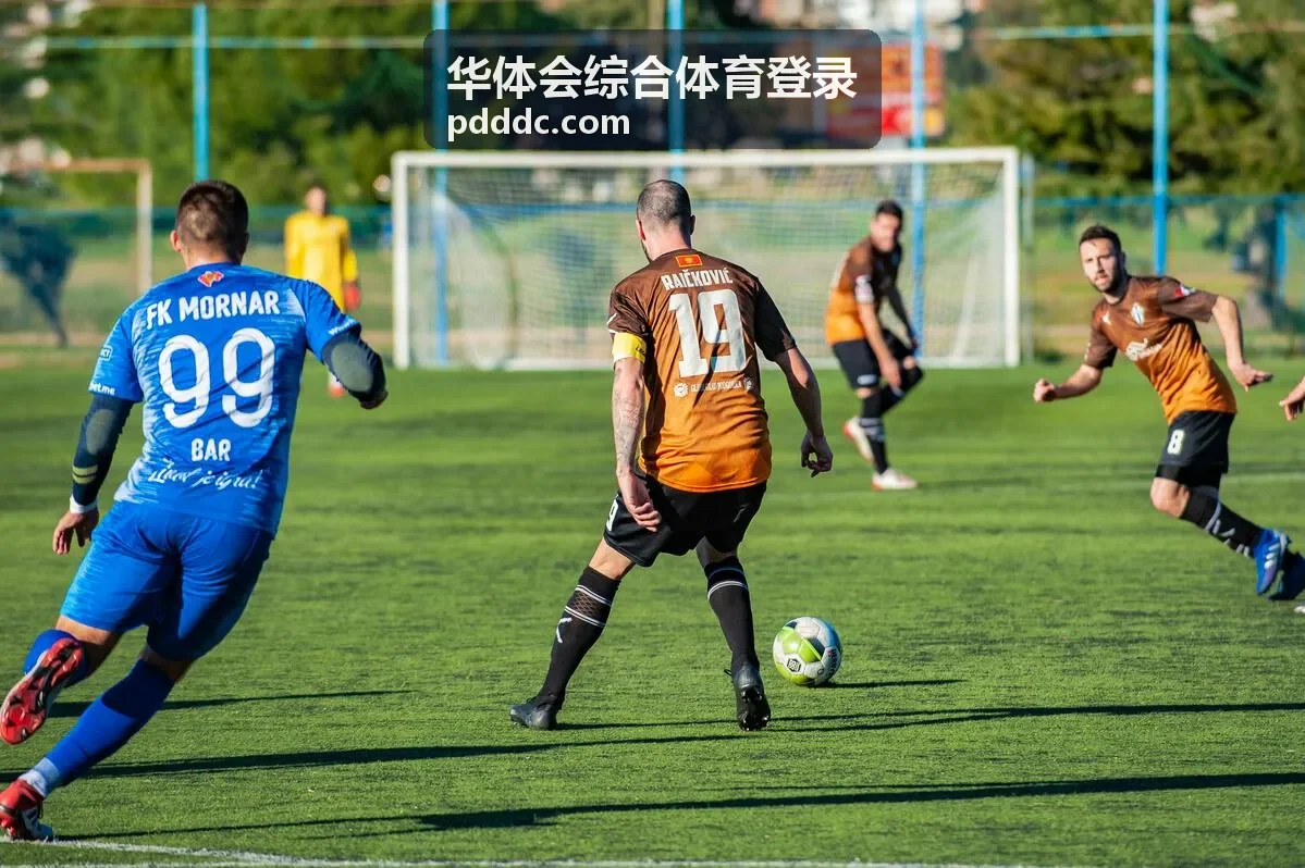 华体会综合体育登录赛事与项目导览栏目的项目卡片